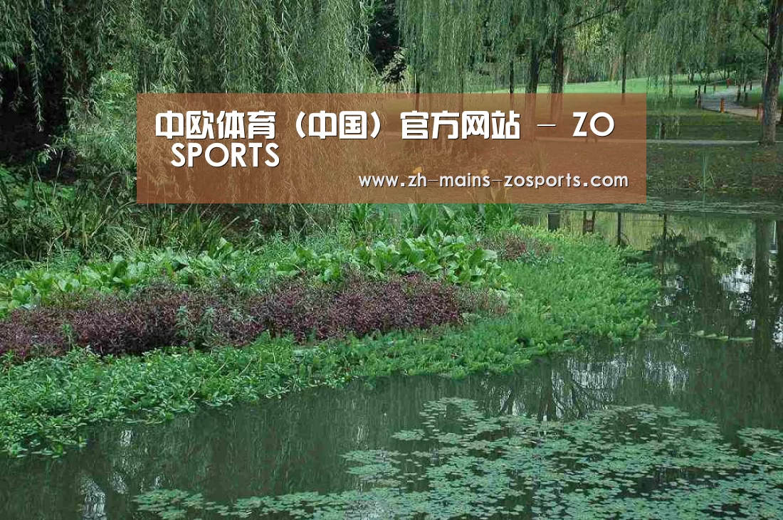 案例展示一(图1)