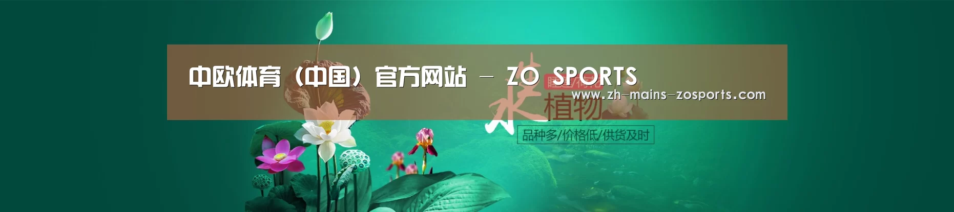 鲜花水草花卉网站模板