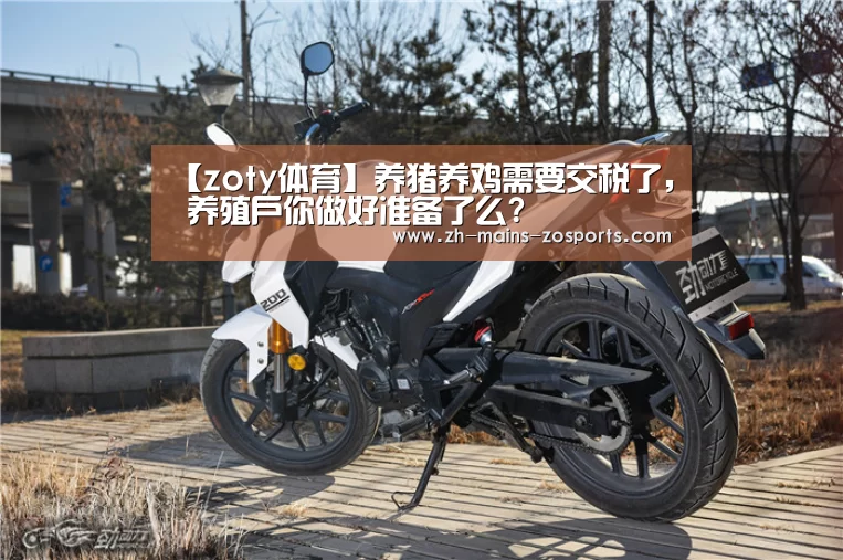 中欧体育