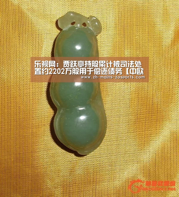 乐视网:贾跃亭持股累计被司法处置约2202万股用于偿还债务【中欧体育】(图1) 中欧体育平台