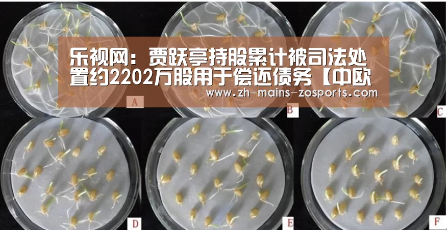 乐视网:贾跃亭持股累计被司法处置约2202万股用于偿还债务【中欧体育】(图3) 中欧体育平台