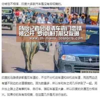 中欧体育官网
