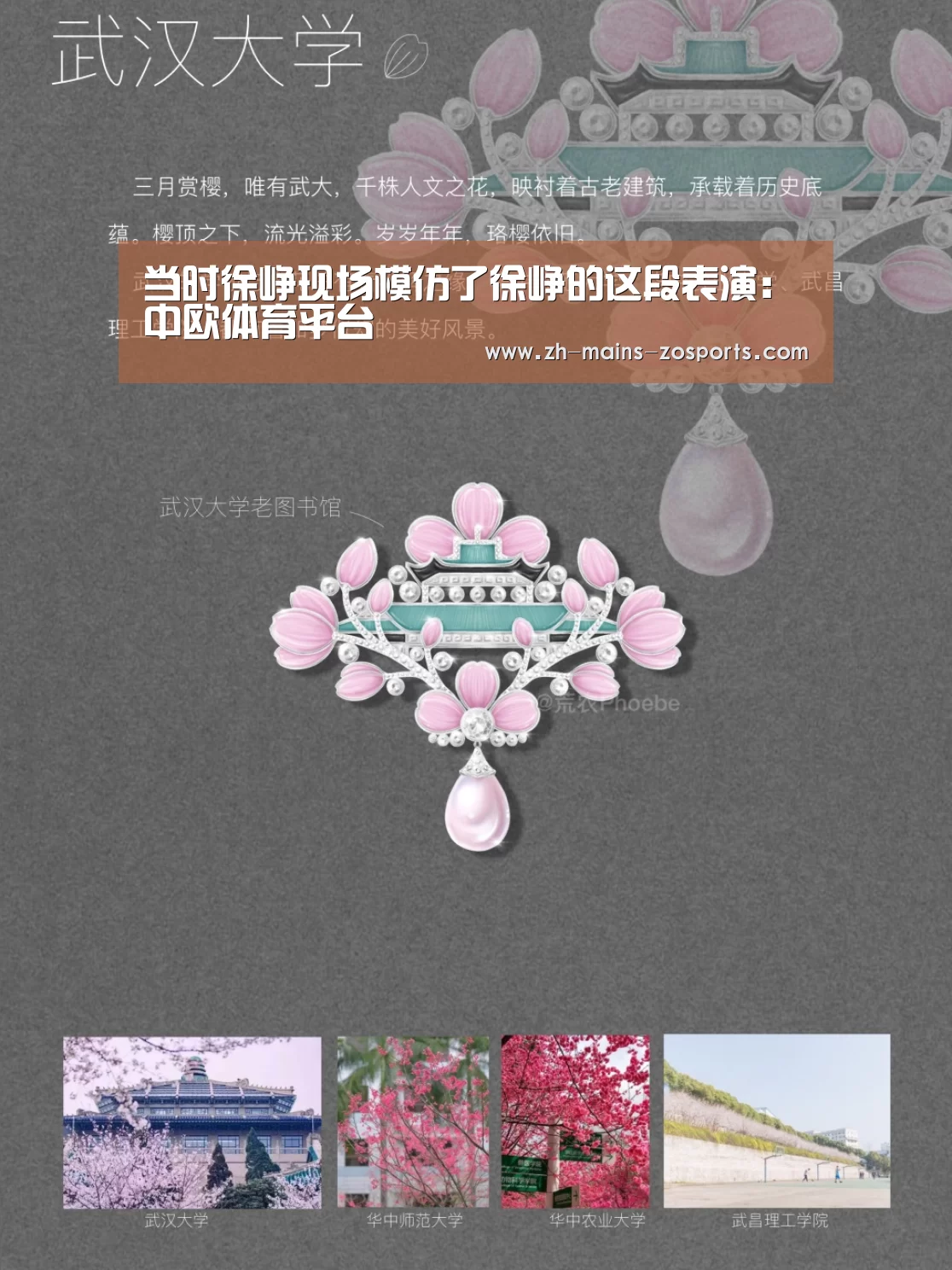 中欧体育