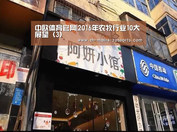 zoty体育